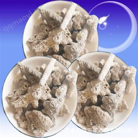 厂家供应珊瑚砂用于鱼缸造景过滤水质珊瑚石量 大从优一手货源